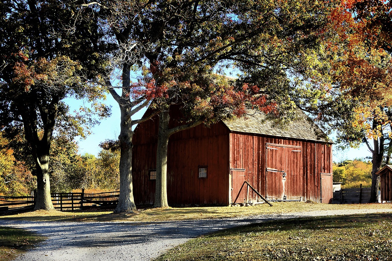 How to Build a Wooden Garden Shed: A Guide